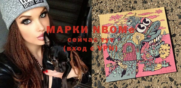 spice Алзамай